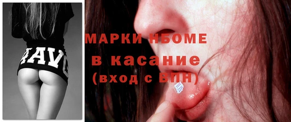 стаф Арсеньев