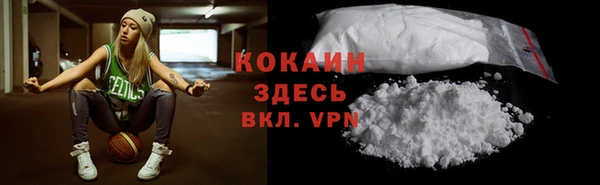 стаф Арсеньев