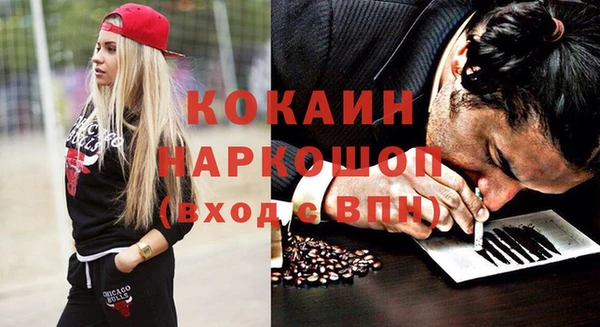 стаф Арсеньев