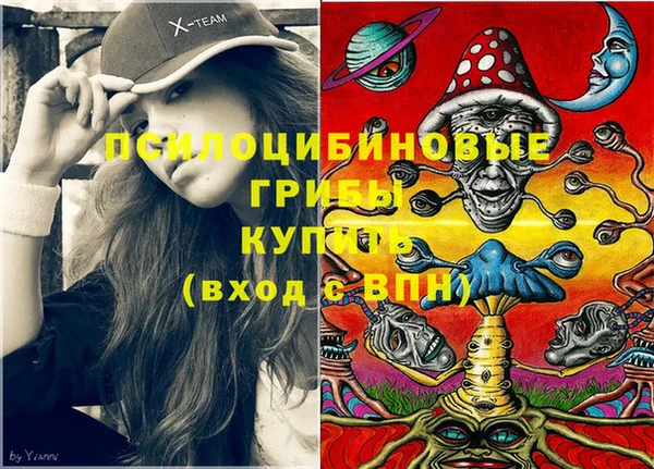 стаф Арсеньев