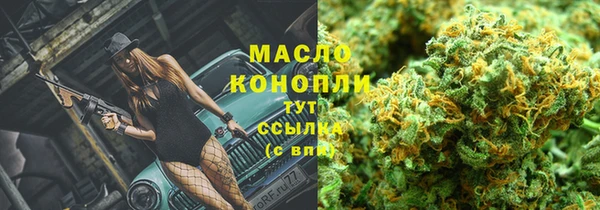 стаф Арсеньев