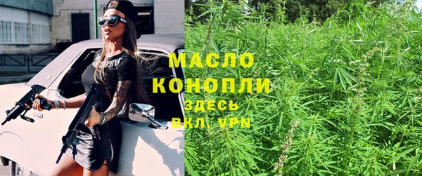 стаф Арсеньев