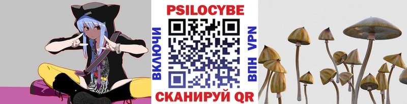 Псилоцибиновые грибы Magic Shrooms  Светлогорск 
